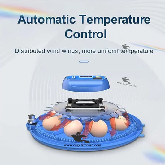 72 eggs smart incubator with humidity control
