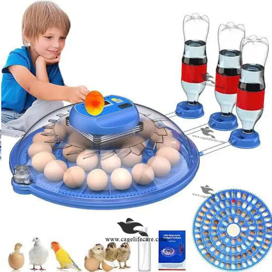 smart incubator with 3-bottle humidity control