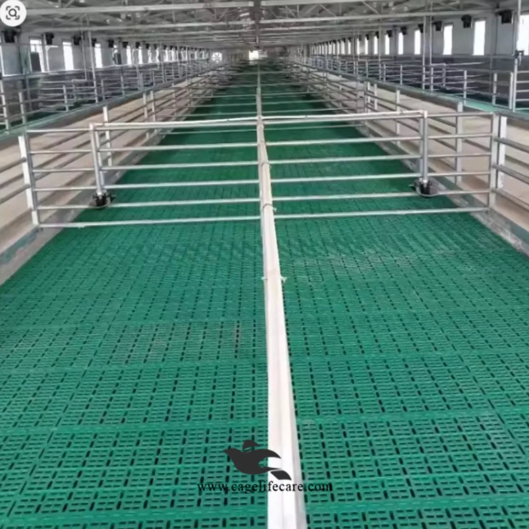 2x2 Feet Heavy-Duty Slatted Flooring Mat For Goat & Sheep Farms