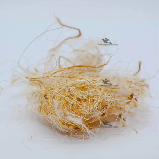 5-in-1 Imported Nesting Material For Finches & Canaries