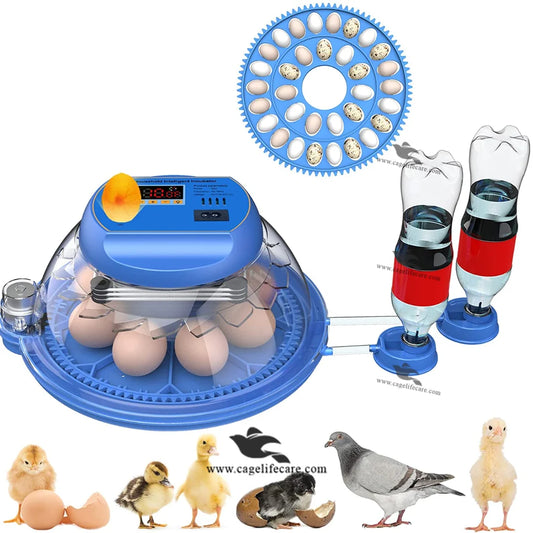 8 & 32 eggs poultry incubator