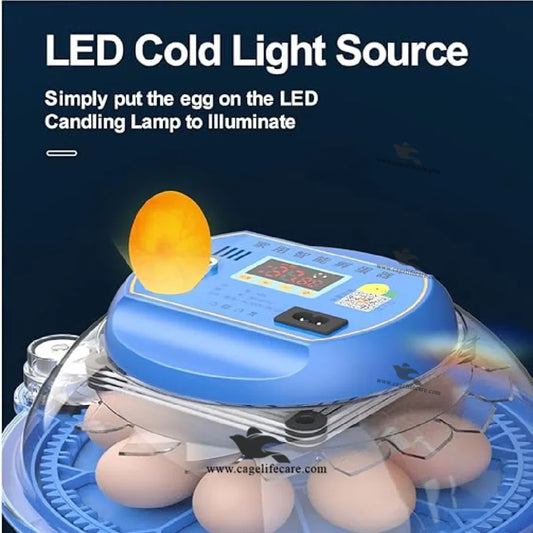 fully automatic intelligent egg incubator
