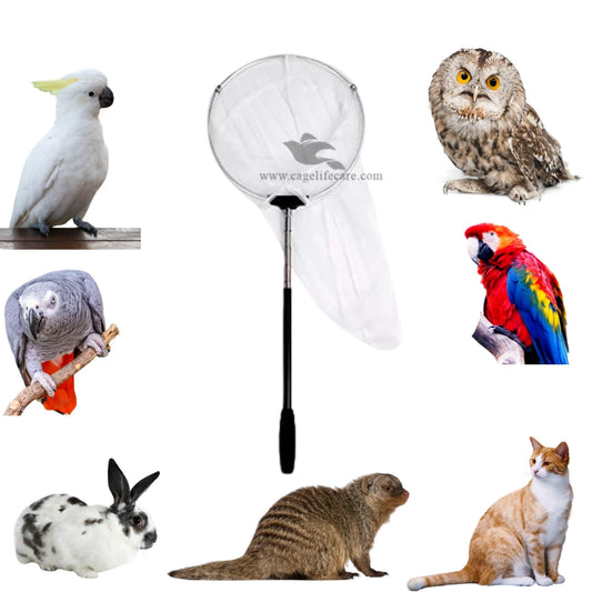 Adjustable Catcher – Aluminum for Big Birds & Reptiles