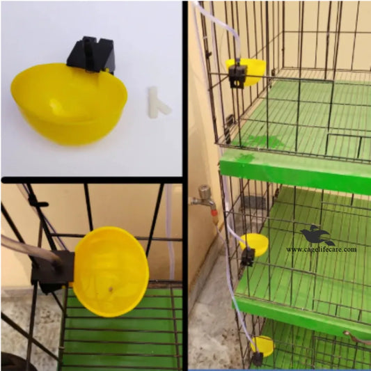 Automatic Hanging Poultry Drinking Cup – Bird Waterer after installation