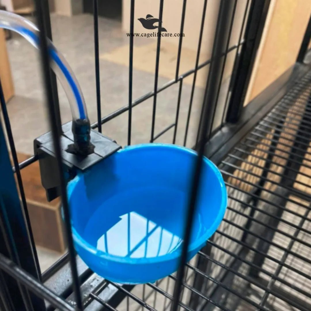 Automatic Hanging Poultry Drinking Cup – Bird Waterer auto water non stop