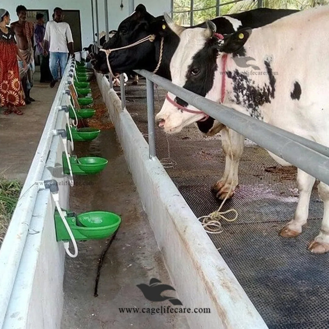 Automatic Water Drinking Bowl For Cows, Horses & Livestock - best for large cattle farmers