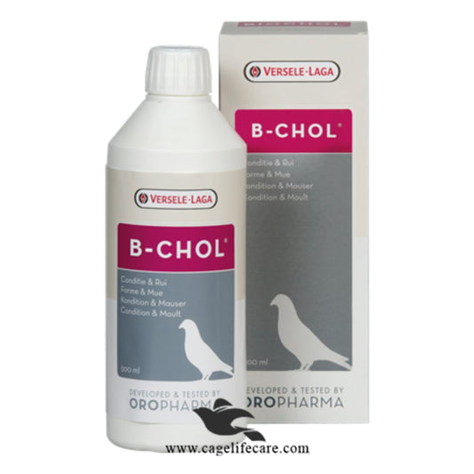 B-Chol Liver Tonic for Birds 500ml for moulting and liver support Versele-laga