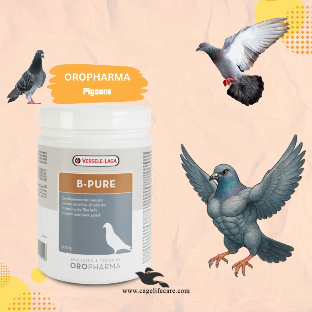 B Pure - Premium Vitaminized Brewer's Yeast Supplement Pigeons Love