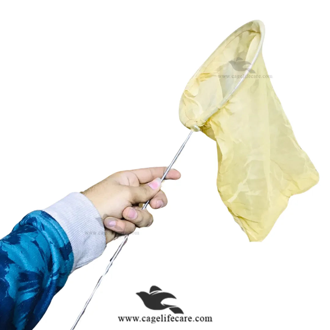 Bird Catching Nets – Safe & Gentle Handling for All Birds