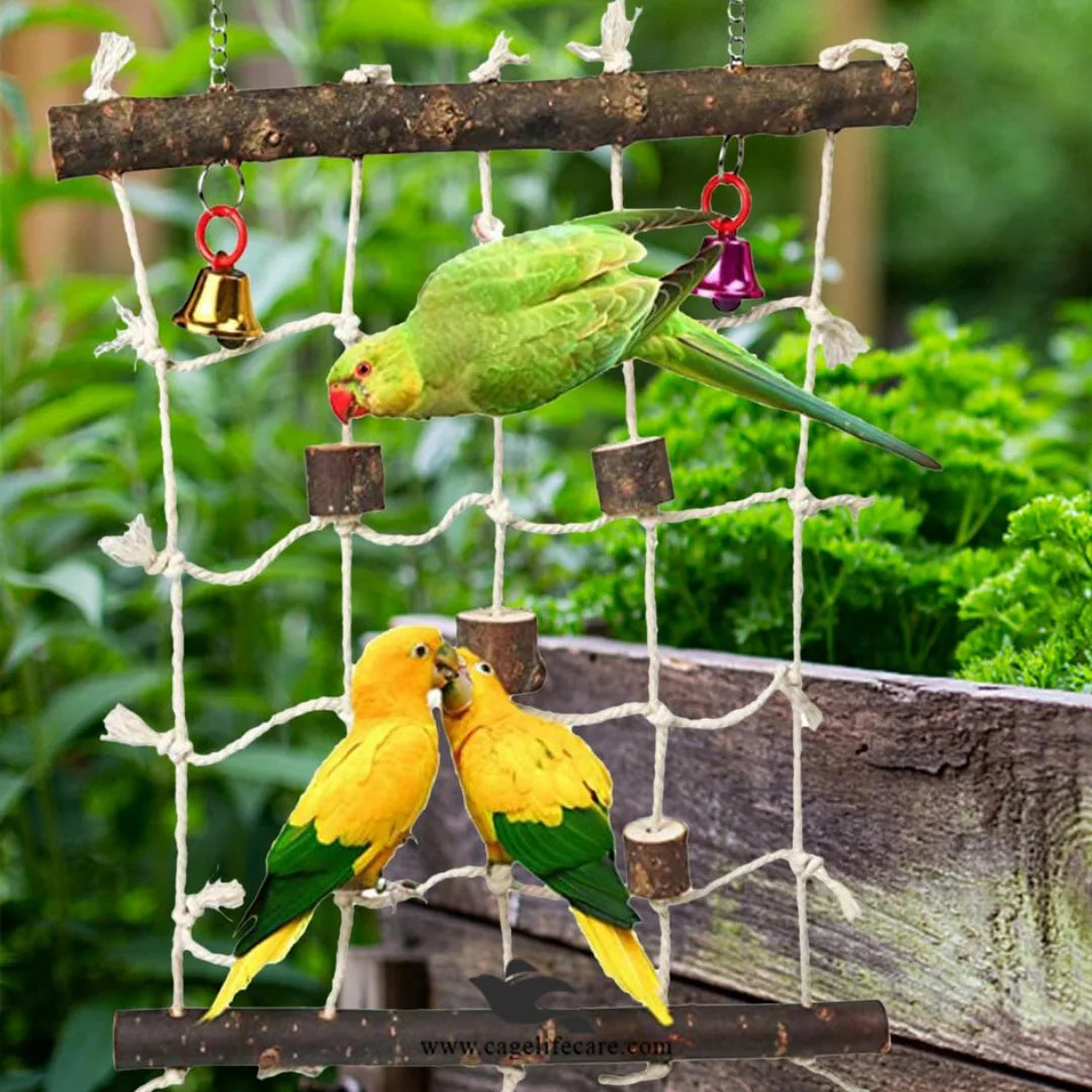 Bird Climbing Net Toy For Parrots & Small Birds