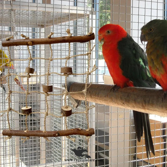 Bird Climbing Net Toy For Parrots & Small Birds