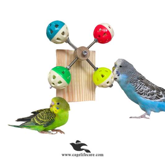Two parakeets interacting with a colorful bird toy on a white background, with 'CageLifeCare' branding.