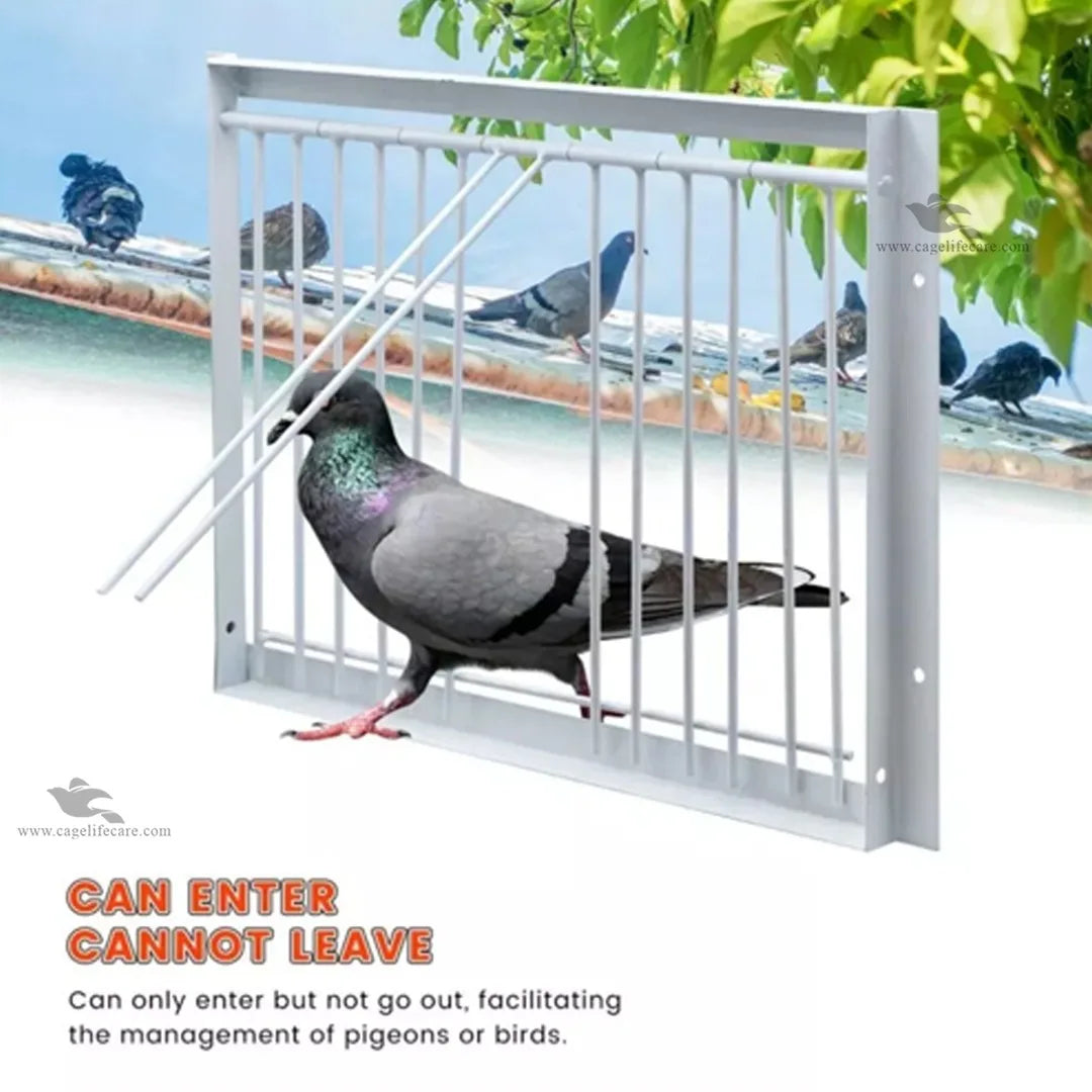 Bob Wire - Trap Door Rods for Pigeons & Ground Birds