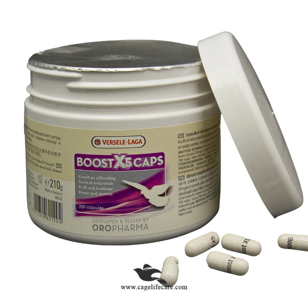 Boost X5 Caps - Enhances Stamina & Muscle Breakdown