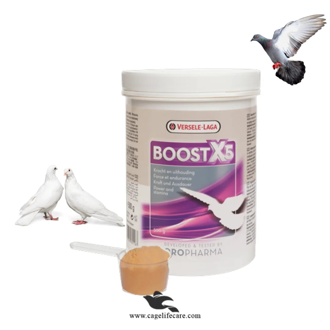 Boost X5 Powder - Enhance Energy Production in Pigeons