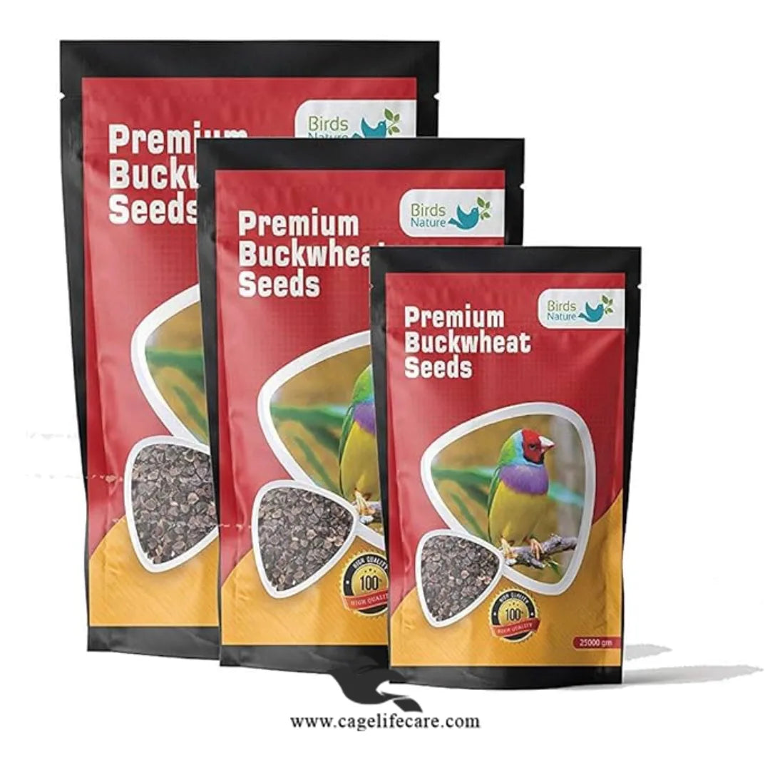 Buckwheat for Parrots – Belgium Protein Seed
