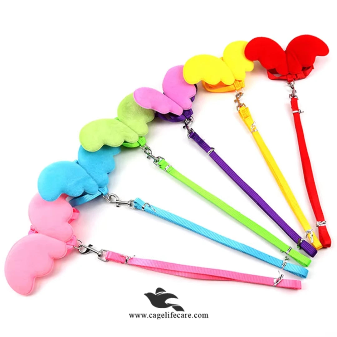 Butterfly Cat Harness with Leash Set – Comfortable, Adjustable & Stylish (Imported) MULTICOLORS