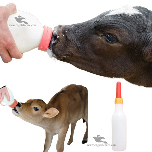 Calf Feeder 1 Liter – Feeding Bottle for Young Calves