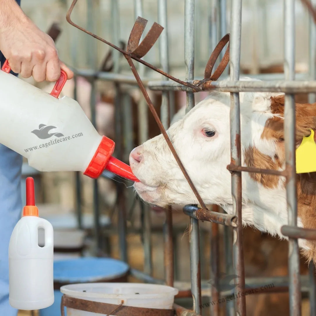 Calf Feeder 3 Liter – Feeding Bottle with Handle