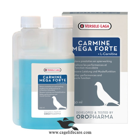 Carmine Mega Forte — L-Carnitine Supplement for Racing Pigeons, Energy and Stamina Support