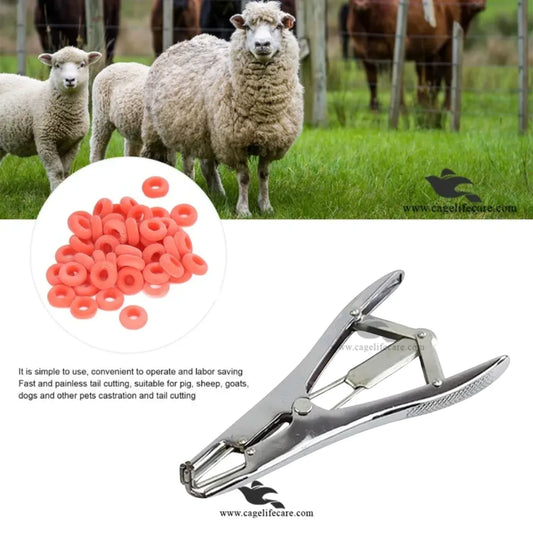 Castrator Plier Elastrator Tool – Stainless Steel Castration & Tail Applicator for Livestock