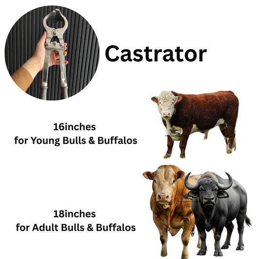 Castrator – Heavy-Duty Stainless Steel Veterinary bloodless castration for Livestock Animals