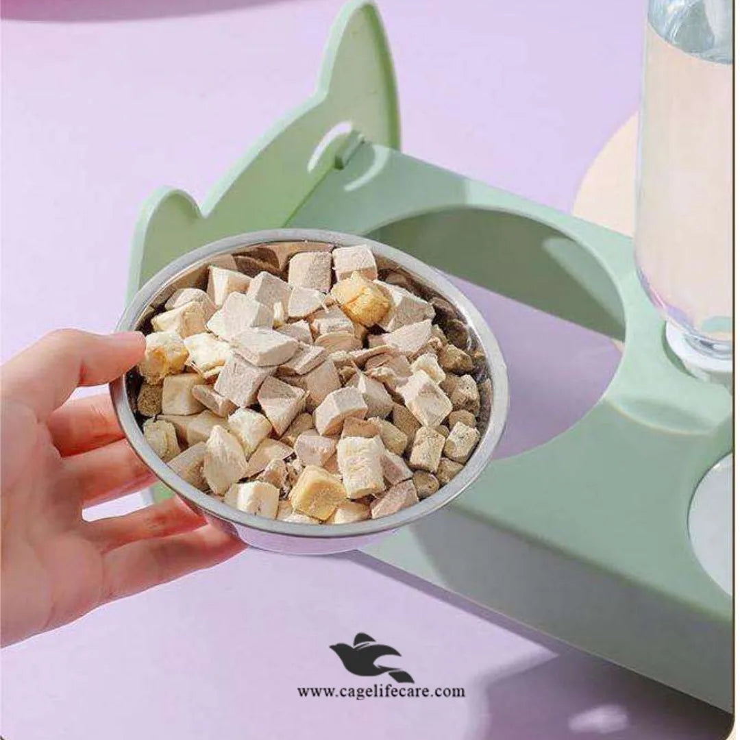 Travel-friendly pet drinker for small dogs and cats