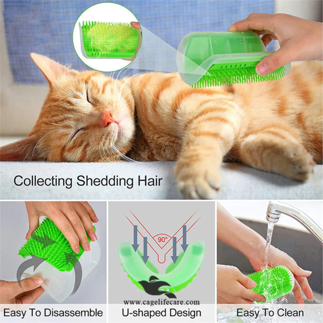 Self-grooming cat wall brush with catnip
