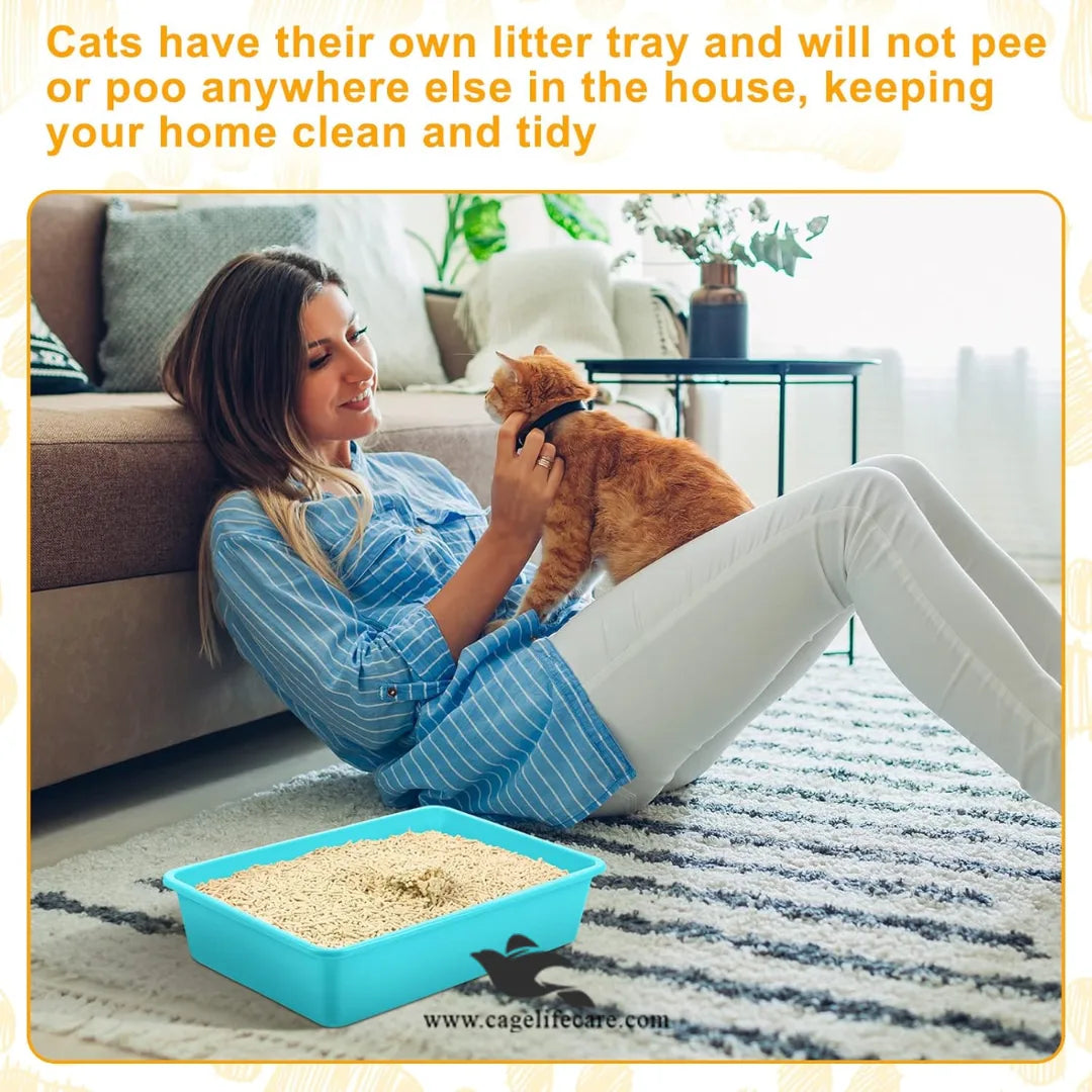 Cat & Kitten Litter Trays – High-Quality Plastic | Small, Medium & Large Sizes