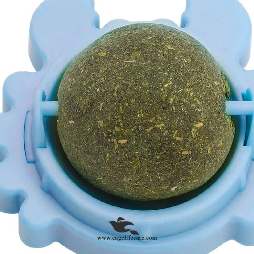 Healthy Cat Toy Treat Promoting Digestion