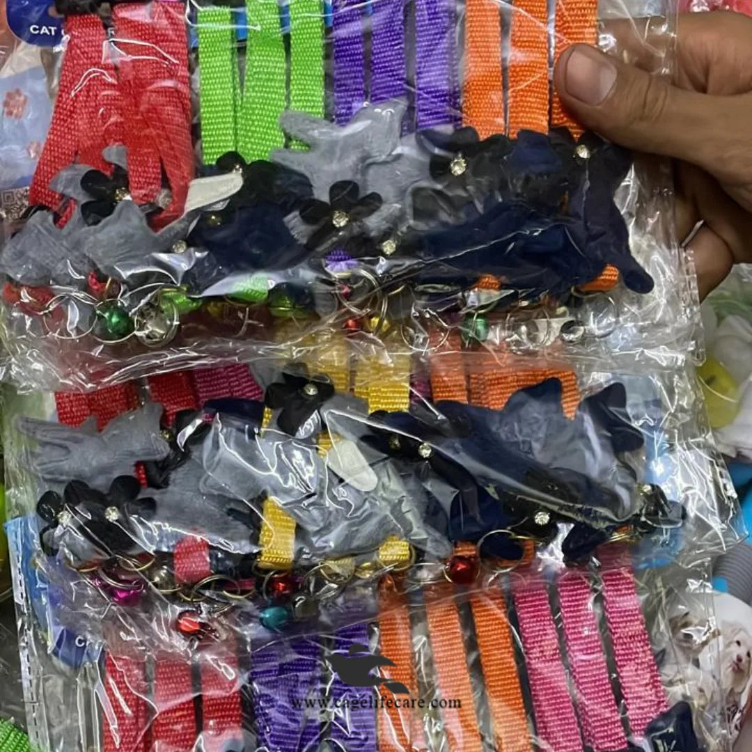 Catty Cat Collar – Stylish, Adjustable & Comfortable for Cats