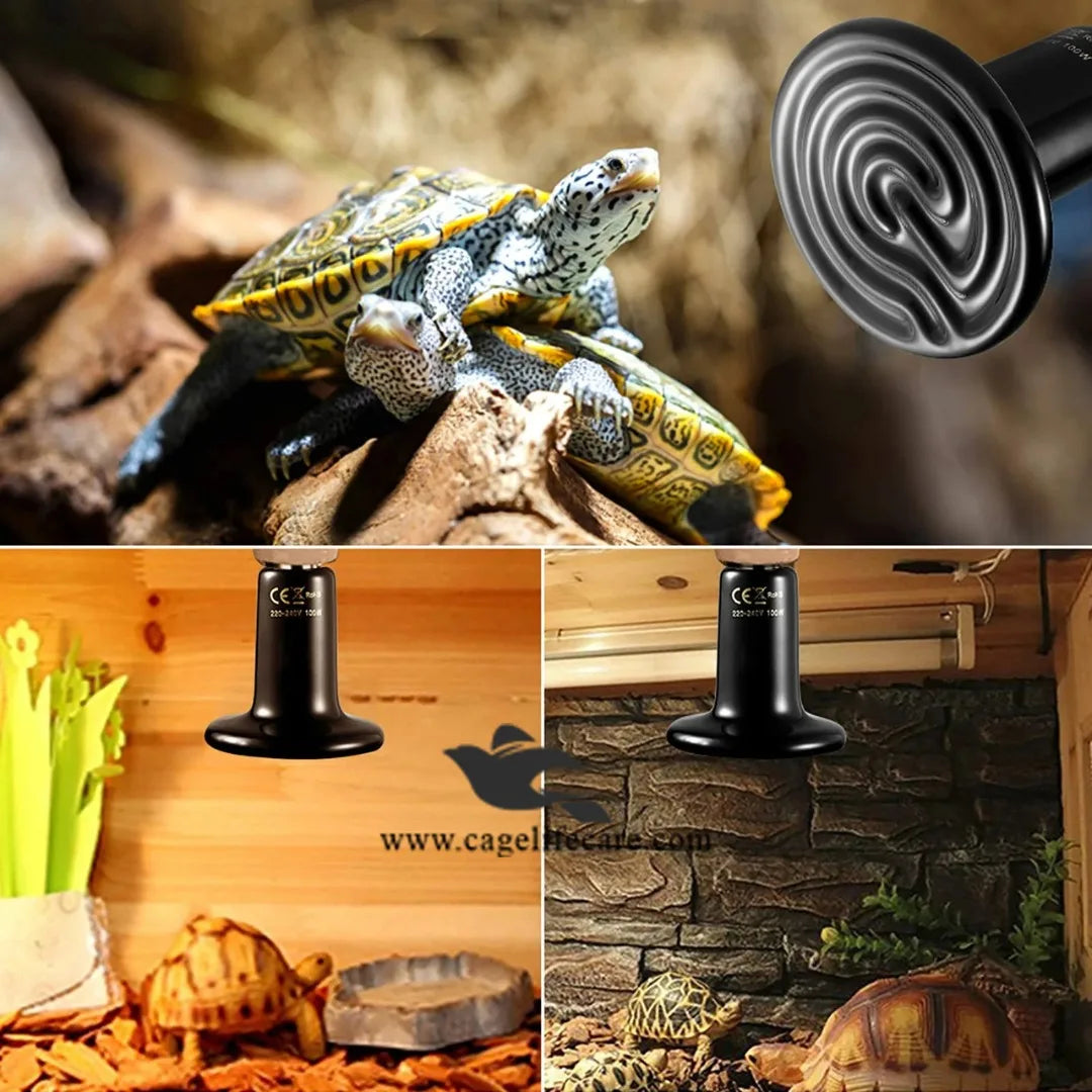 Ceramic Heat Emitter 100W - No-Light Heat for Birds & Pets - after install in aquarium