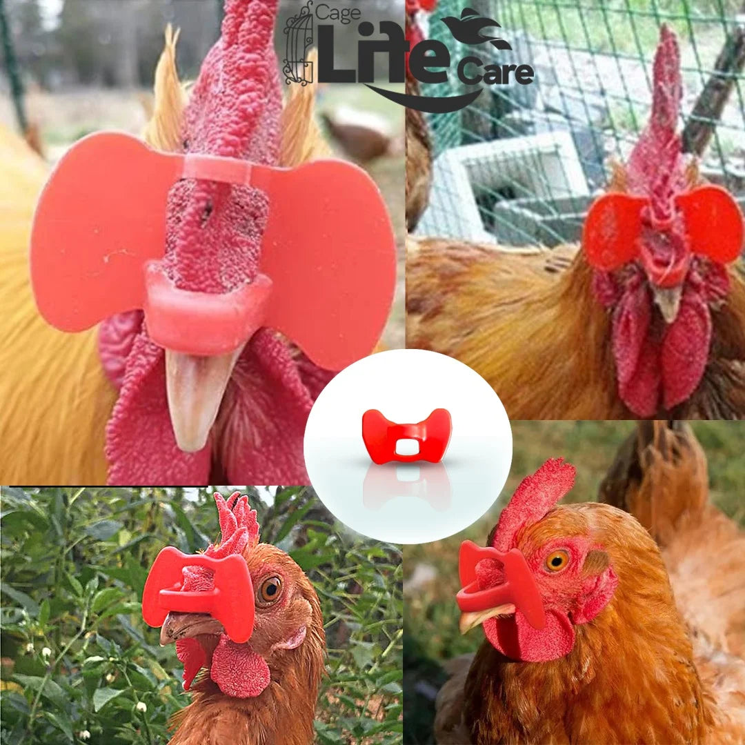 Chicken Eye Blinder Glasses – Pinless Peepers