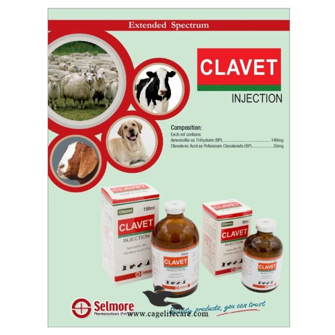 Amoxicillin and Clavulanic Acid antibiotic injection