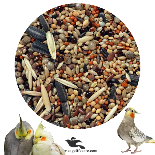 Cockatiels Seed Mix