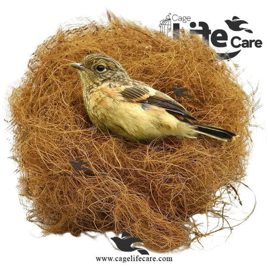 Coconut Fiber Nesting for Finches – Natural Nesting Material