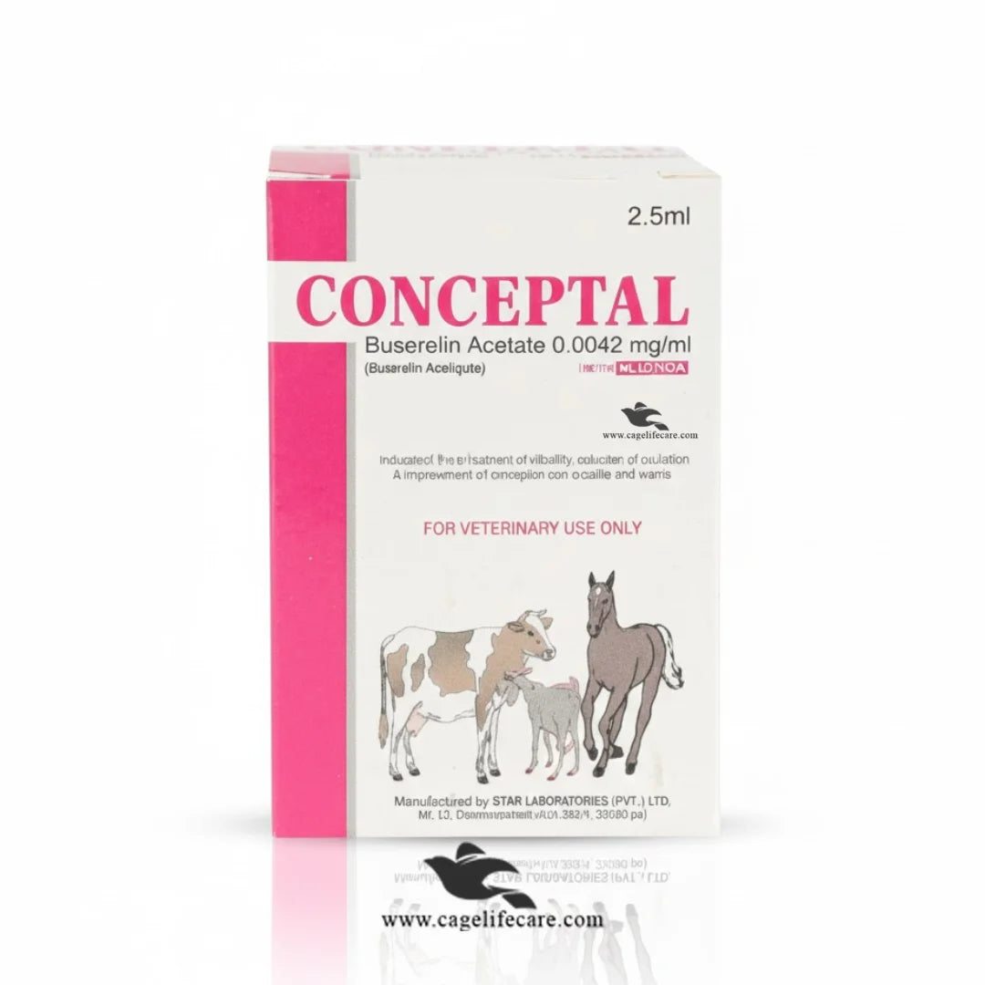 Conceptal Injection for cattle and buffalo fertility