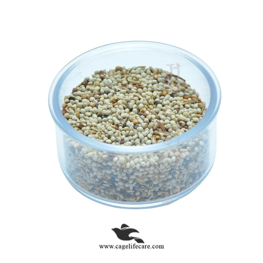 Condition Seed Mix – Belgium Small Bird Blend
