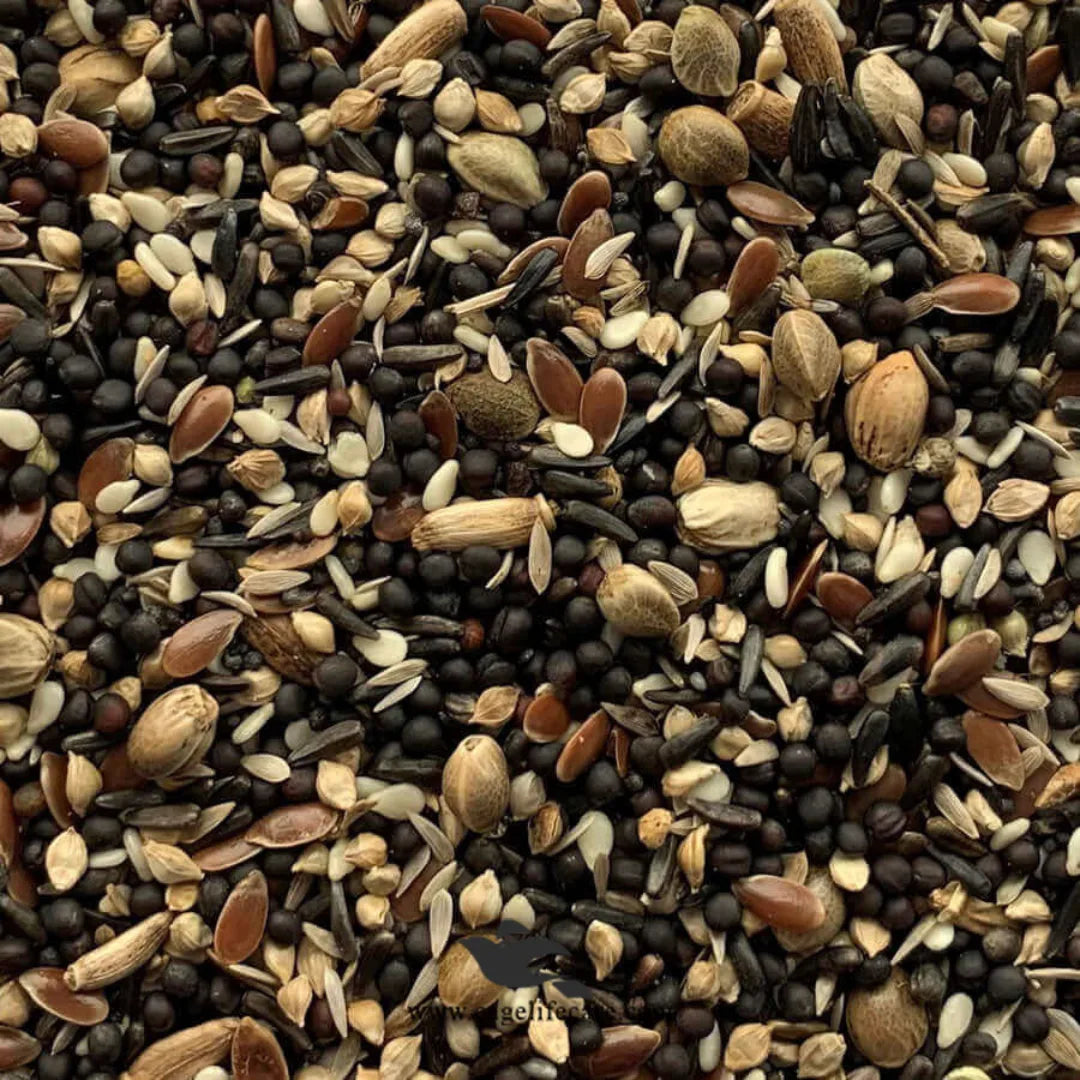 Condition Seed Mix – Belgium Small Bird Blend