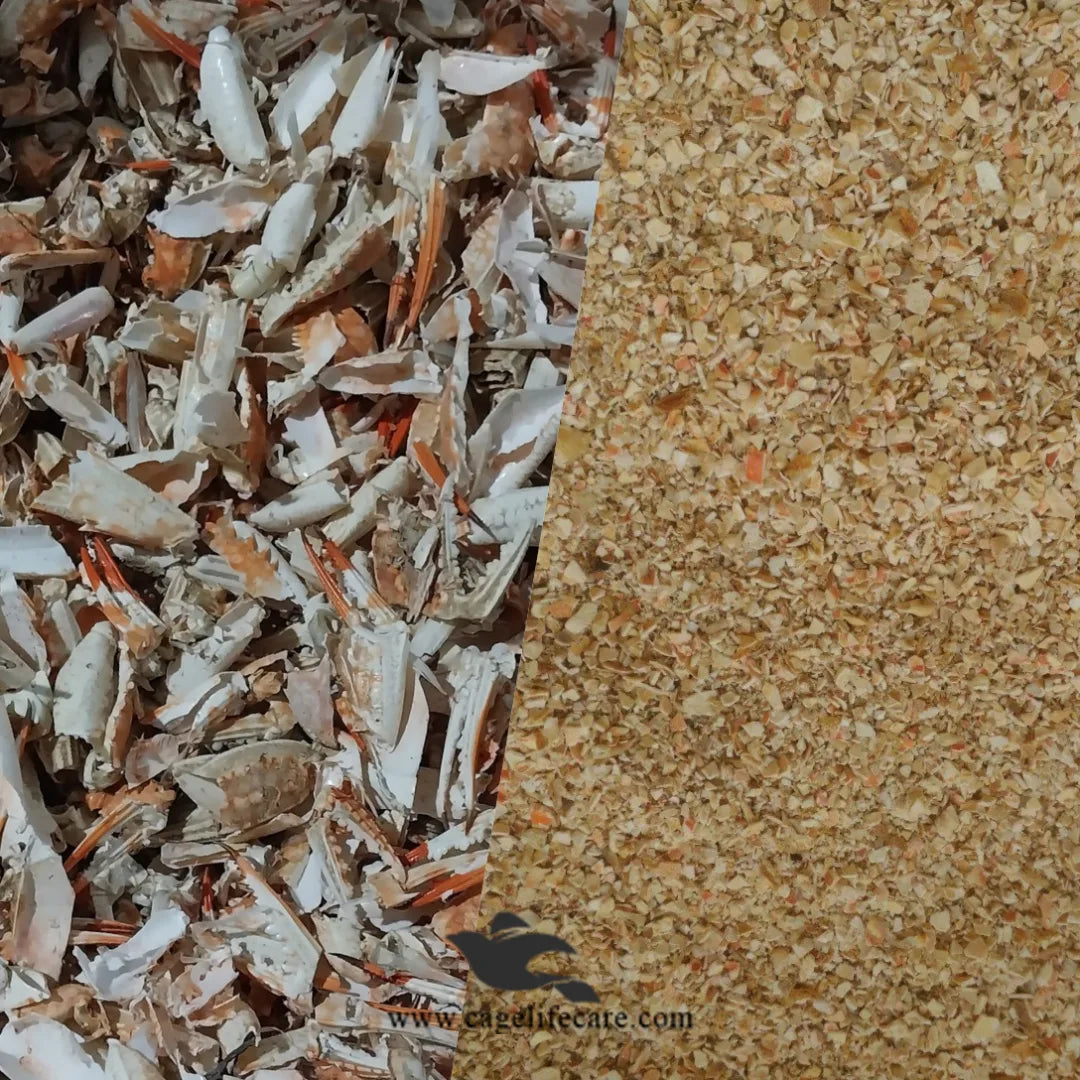 Crab Powder (Kakra) – High Calcium & Protein Supplement for Birds