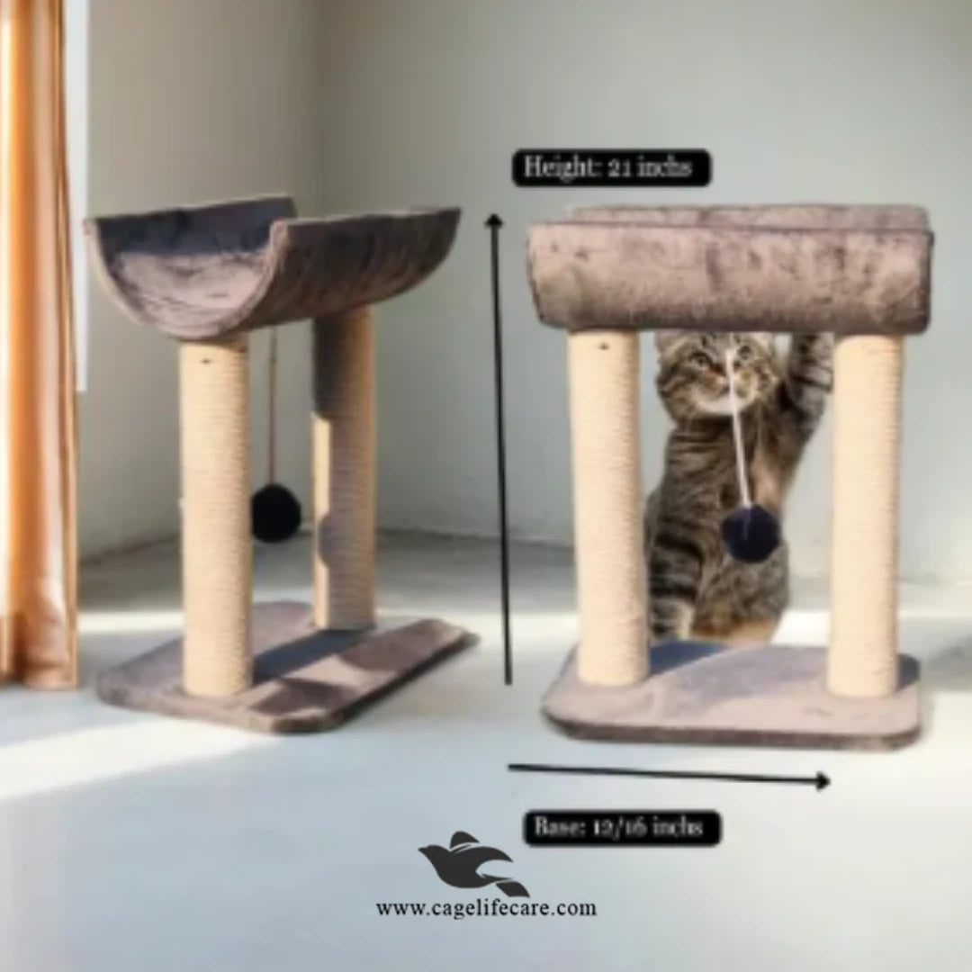 Plush curve sit cat scratcher with ball toy