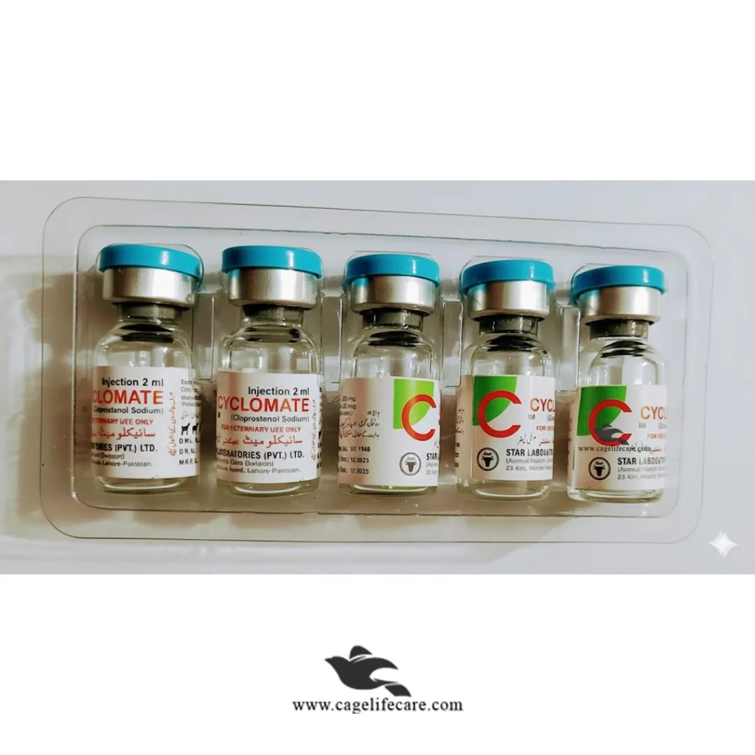 Cyclomate reproductive health injection for livestock Pakistan