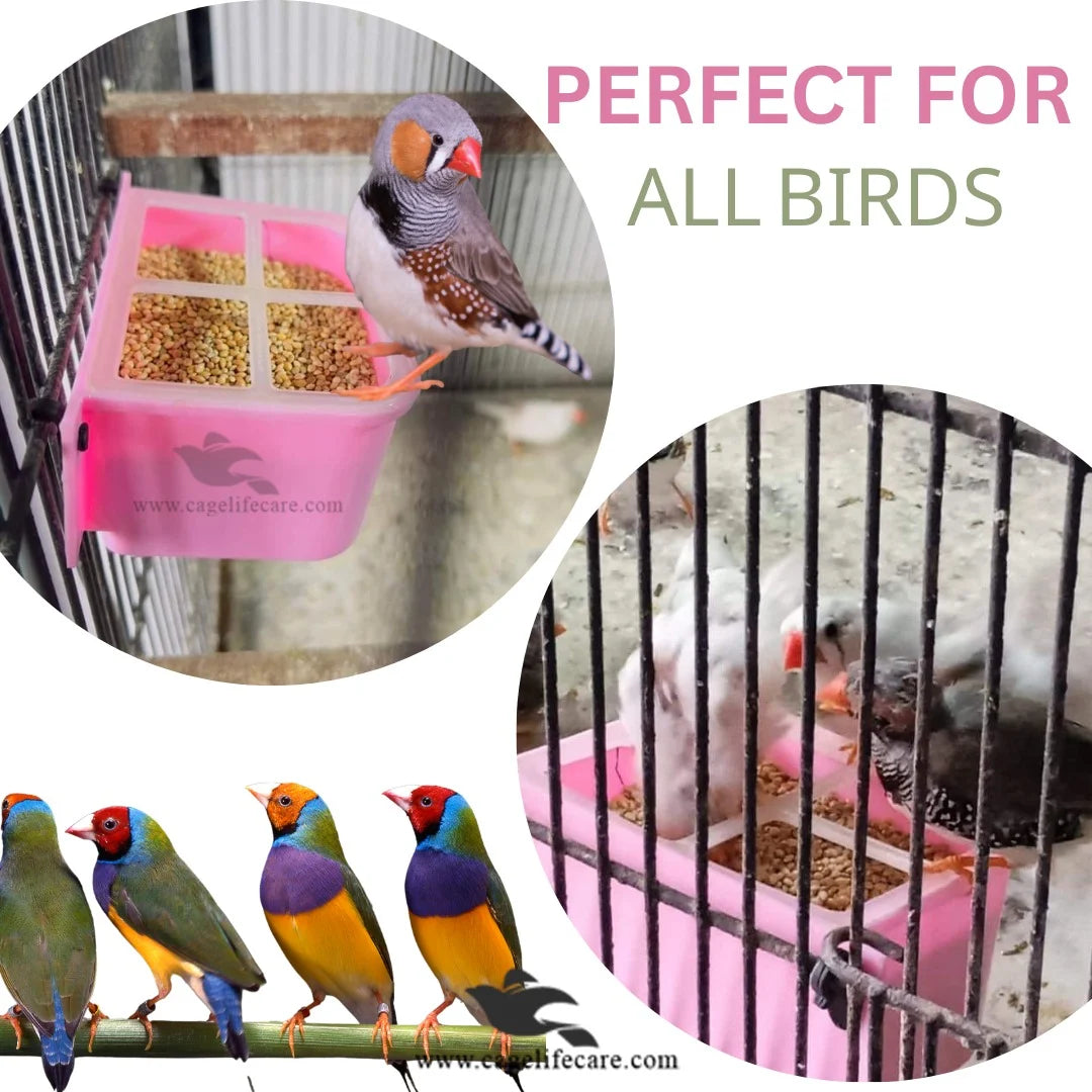 Delic Feeder Pot - No-Waste Feeder For Birds for finches