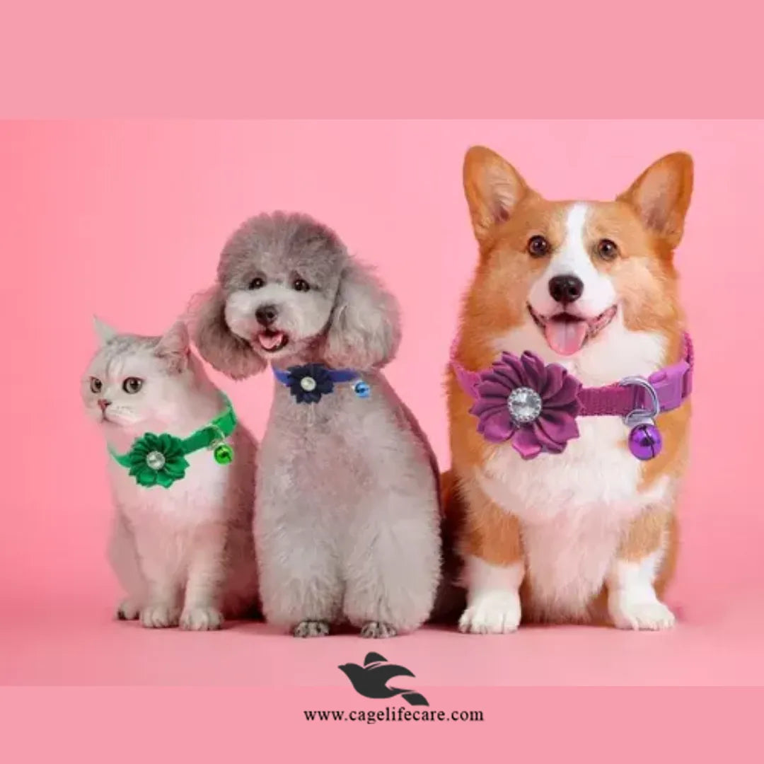 Diamond Flower Cat Collar