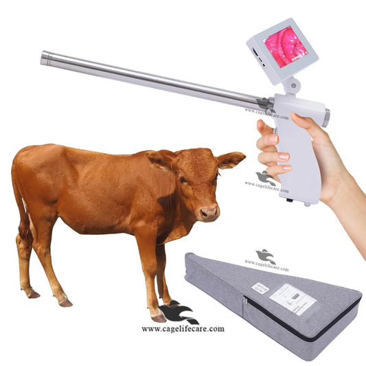 digital ai insemination gun for cattle with camera