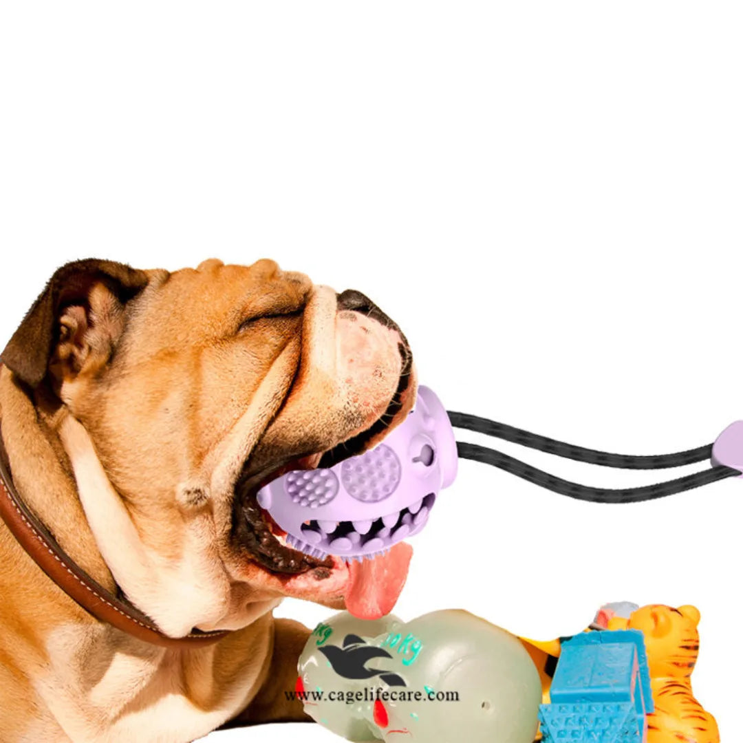 Dog Puppy Chew Toy – Rope Ball Pull & Tug Toy with Treat Dispenser and Teether (LQ005)