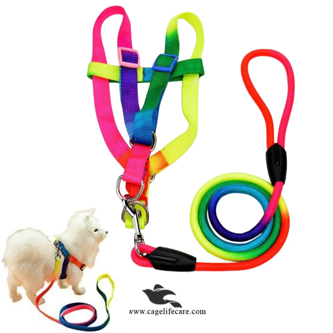 Dog Rainbow Harness with Leash Set – Stylish & Comfortable (Imported)