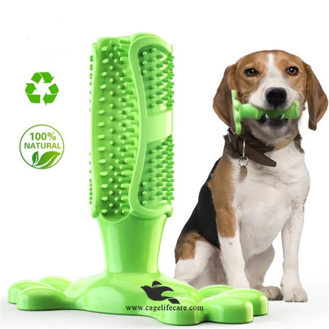 Durable Dog Chew Toy with Built-in Toothbrush