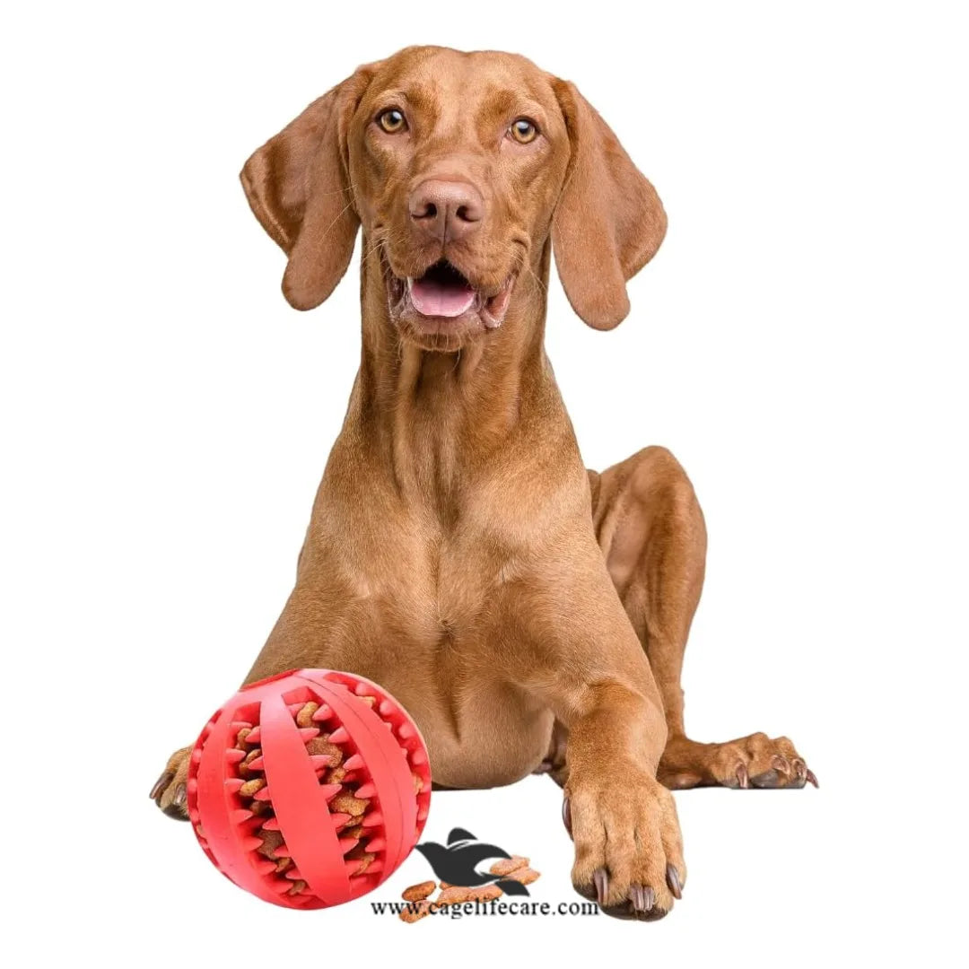 Dog Treat Rubber Ball – Interactive Chew & Treat Toy