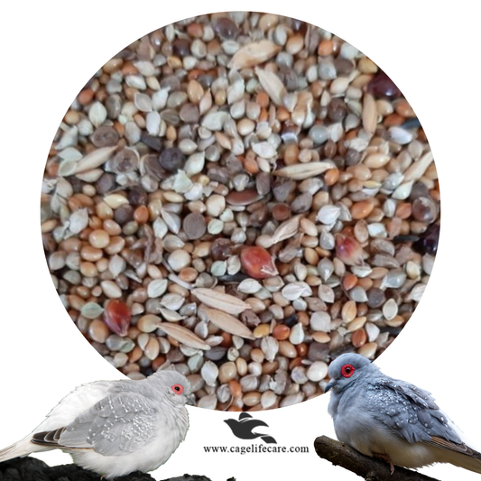 Dove Seed Mix